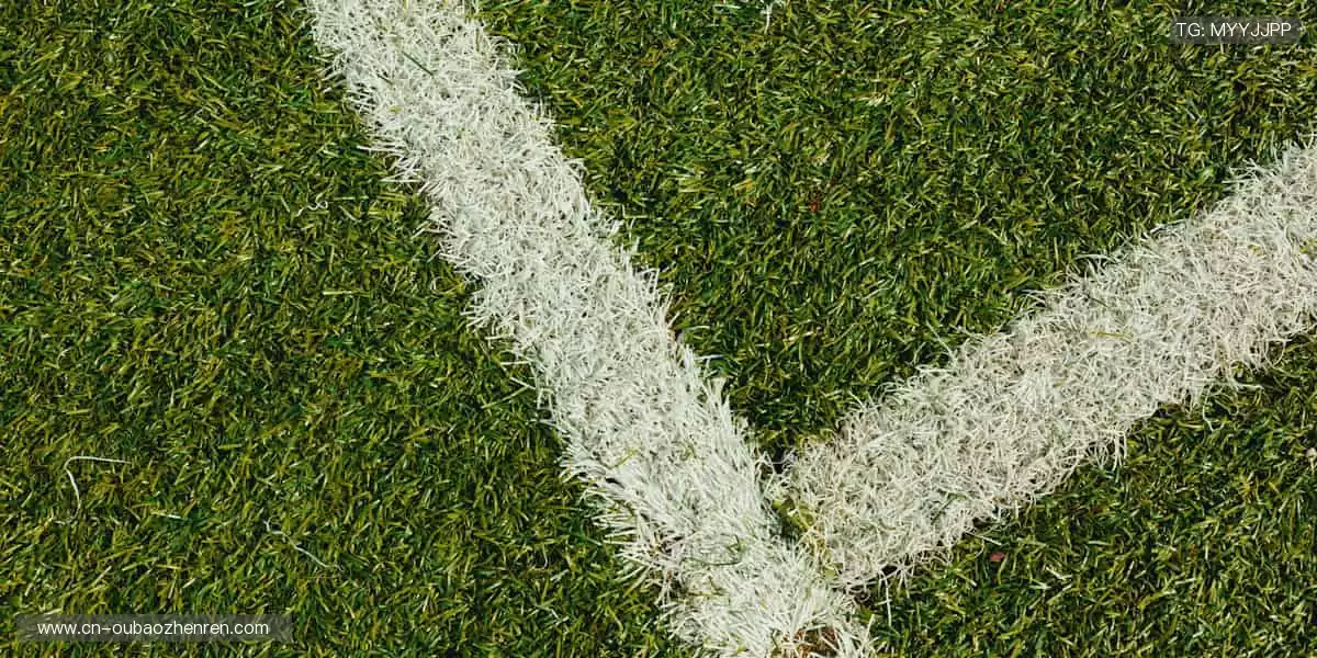 随时随地，直击赛场！📱🎯